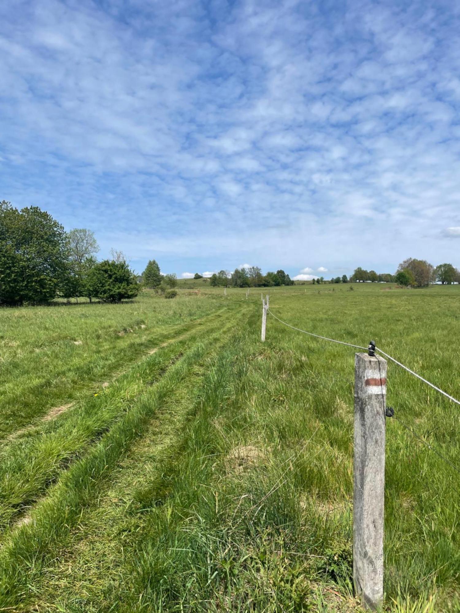 Dziejba Izerska Villa Giebultow  Buitenkant foto