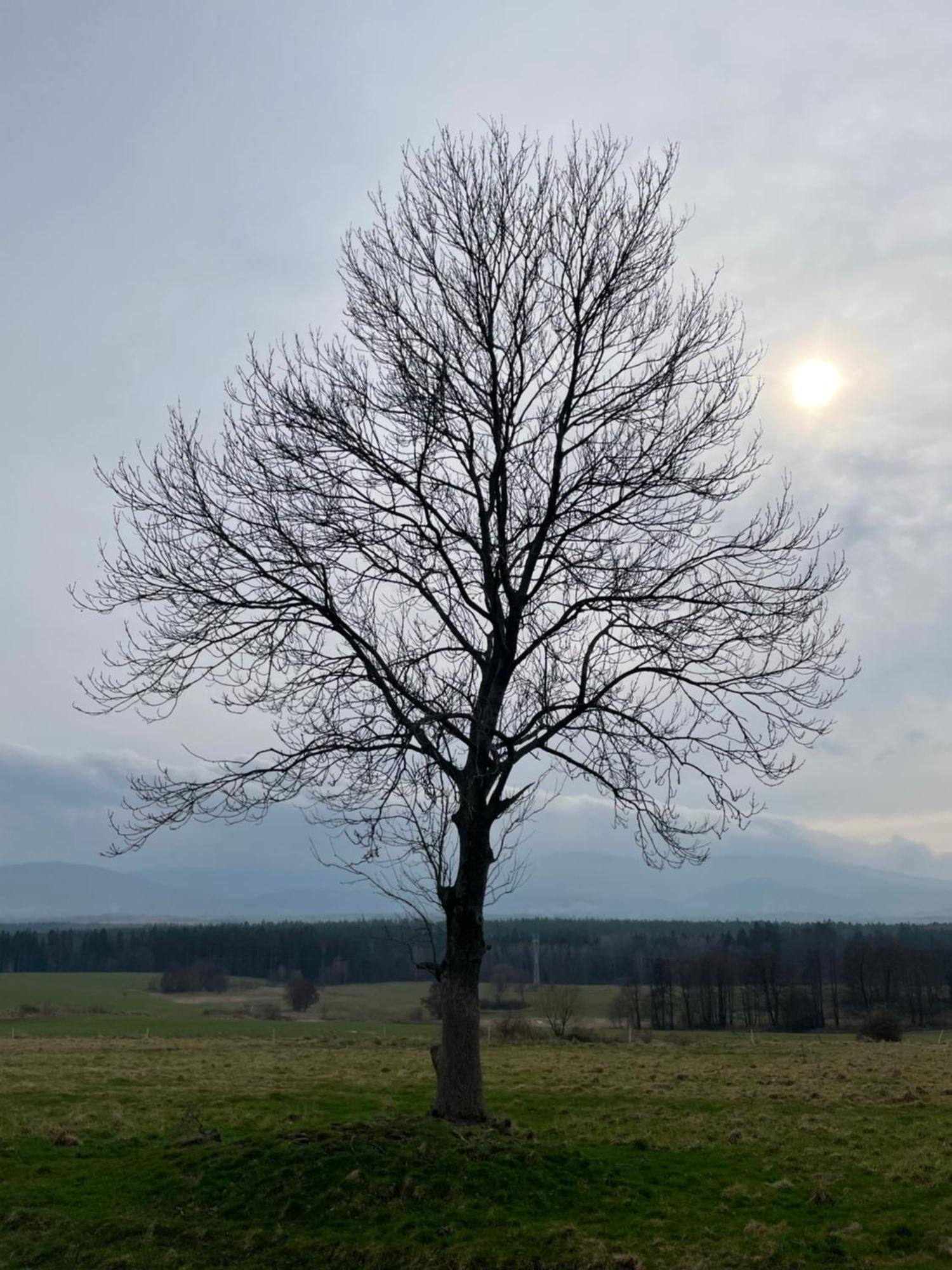 Dziejba Izerska Villa Giebultow  Buitenkant foto