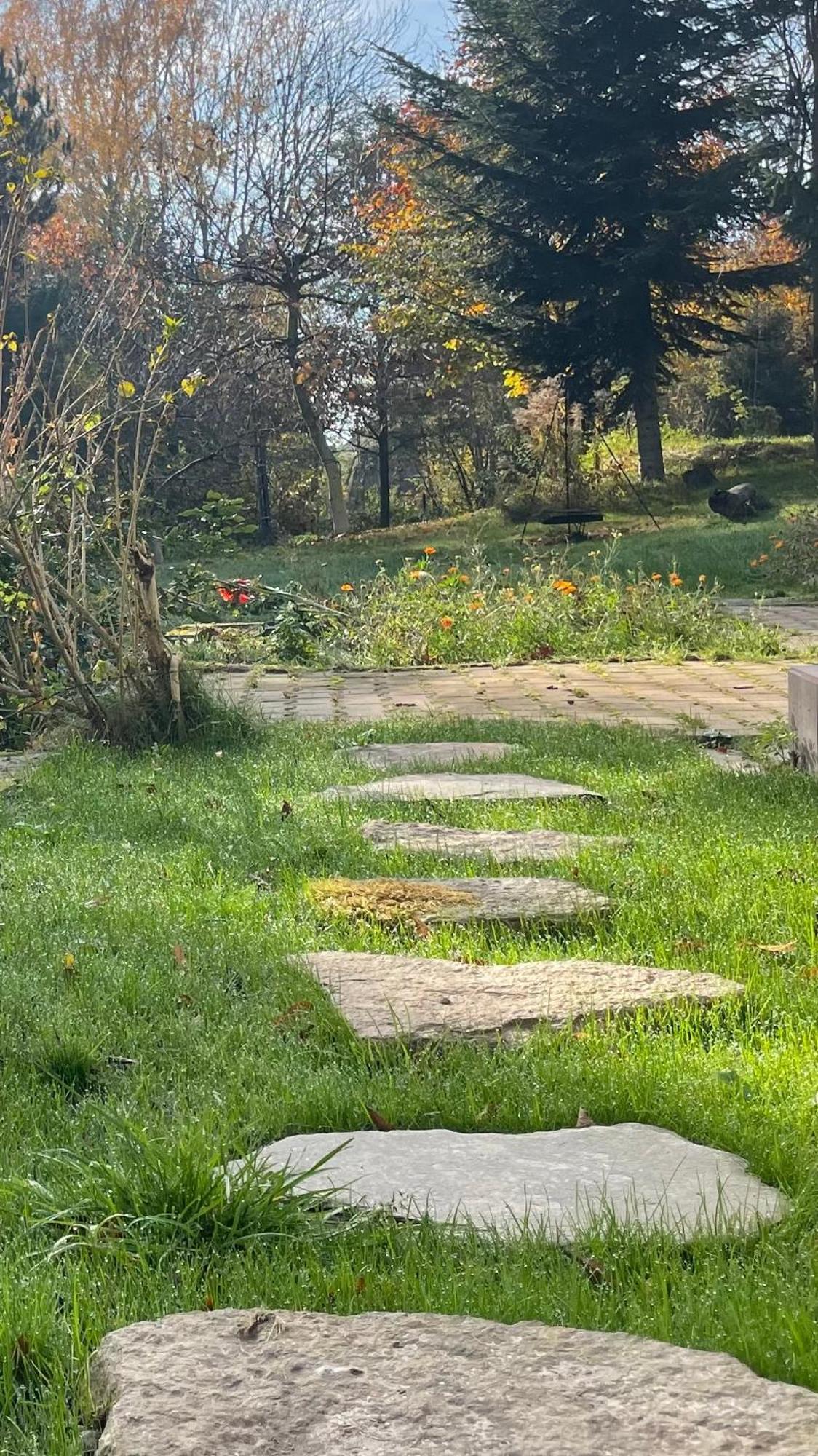Dziejba Izerska Villa Giebultow  Buitenkant foto